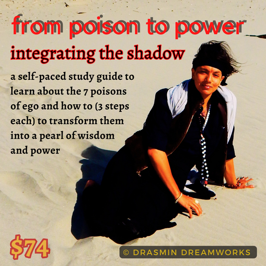 from poison to power - a shadow integration immersion